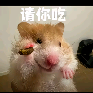 鼠门的世界头像