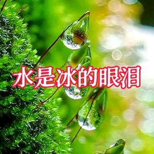 水是冰的眼泪sgh731头像