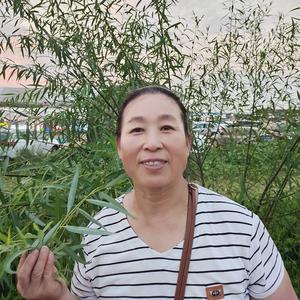 一品茶姐头像