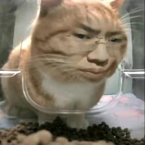 法则头像