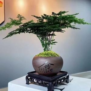 塔木德头像