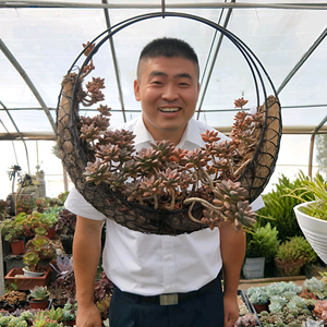 羊团长头像