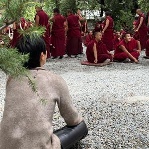 朱迪的内观人生路头像