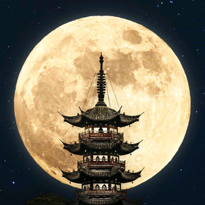 因梦想而伟大头像