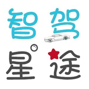 智驾星途头像