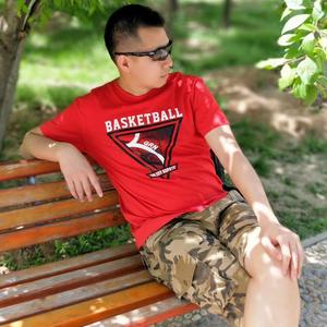 前世今生之小白鸽头像