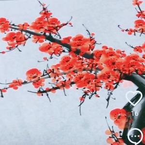 严寒书法头像