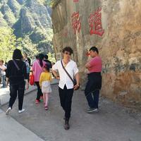 悠闲溪流5Y9头像