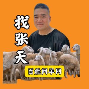 百姓问羊-张天头像