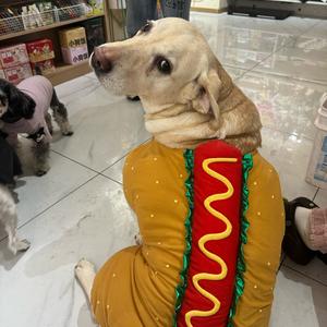 喵孩儿头像