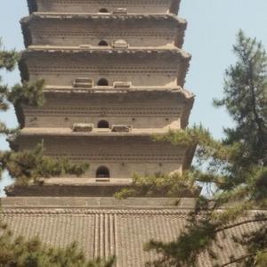 喜欢白色头像