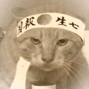 纯黑zhi头像