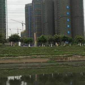 红+红头像