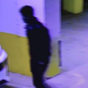 TY内部头像