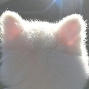 何时到我身边 头像