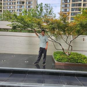 董哥聊不够头像