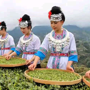 西村表哥《牛泉茶厂》头像