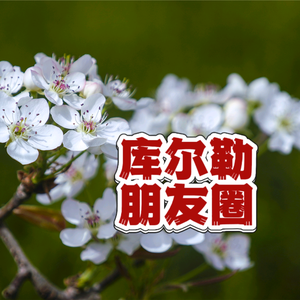 库尔勒朋友圈头像