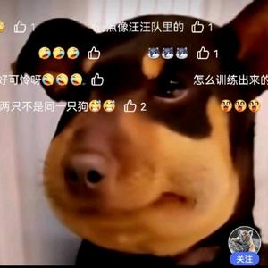 TJ游戏实况 头像