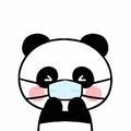 徐哈哈来了头像