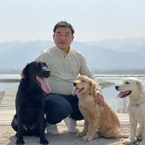 高教训犬头像