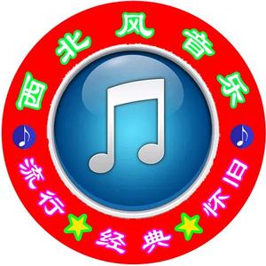 西北风音乐头像