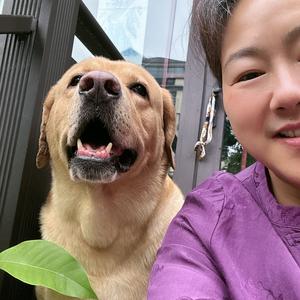 红枫叶23806头像