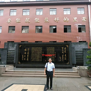 茶和天下头像