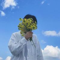 翎风视频头像