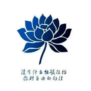 企业安置张老师头像