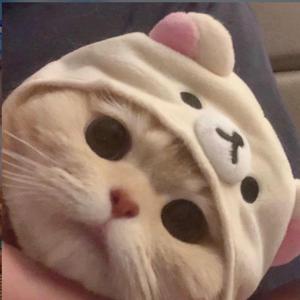 爱玩乐高的杰瑞头像