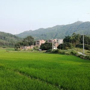 我家在山脚下头像