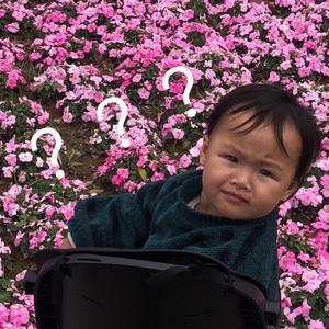 忘尘丶ruin头像