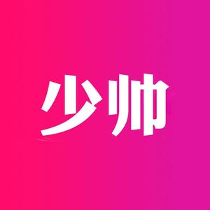 少帅的枪头像