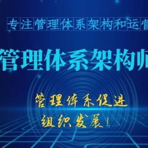 管理体系架构师头像
