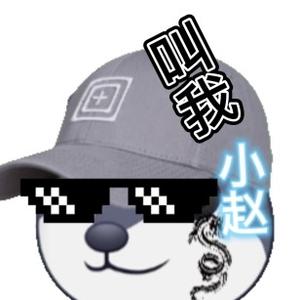 叫我小赵赵 头像