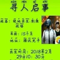 编号531头像