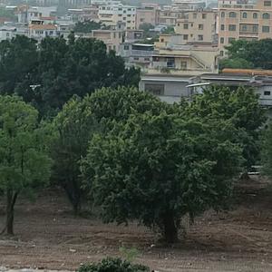 见文案愿安好头像