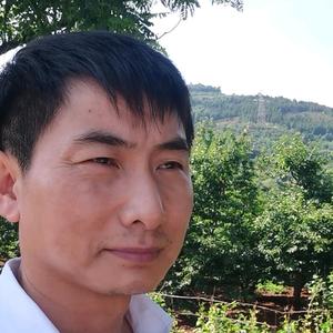滴哥阿涛头像