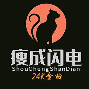 我已瘦成闪电侠头像