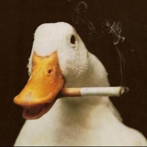 浪哥电影头像