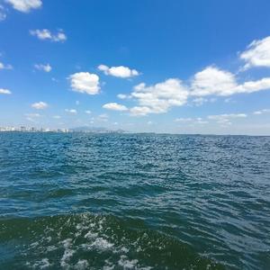 牛万里头像