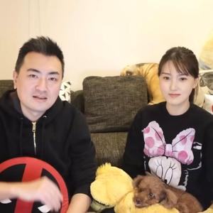 老高与小茉每日更新头像