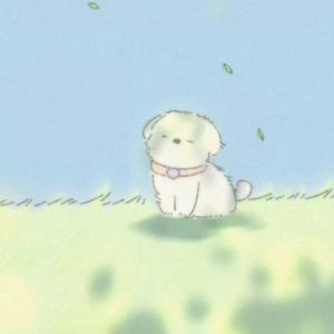 谭七七头像