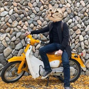 开着机车去打咖啡的猫哥🛵☕️🐈头像