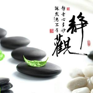 闪电九连鞭头像