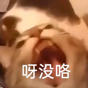 LIN迁年头像