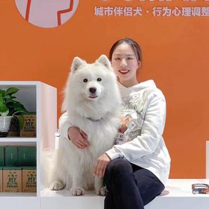 伴侣犬行为管理师蛋姐头像