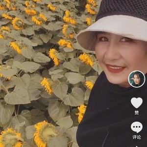 葵花老八头像