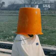 新茶nana头像